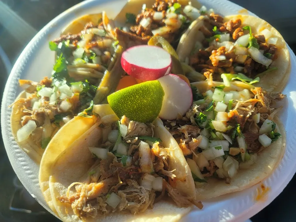 Carnitas Tacos Al Pastor Tacos